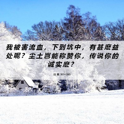 Picture 06 - 诗 篇 30:9 CUVS - 我 被 害 流 血 ， 下 到 坑 中 ， 有 - Bible Verse Picture