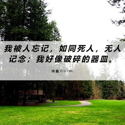 Picture 06 - 诗 篇 31:12 CUVS - 我 被 人 忘 记 ， 如 同 死 人 ， 无 - Bible Verse Picture