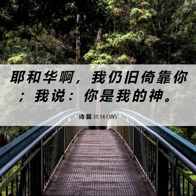 Picture 06 - 诗 篇 31:14 CUVS - 耶 和 华 啊 ， 我 仍 旧 倚 靠 你 ； - Bible Verse Picture