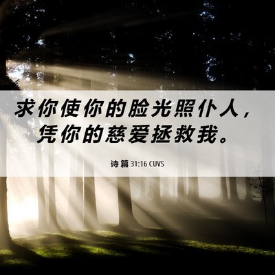 Picture 06 - 诗 篇 31:16 CUVS - 求 你 使 你 的 脸 光 照 仆 人 ， 凭 - Bible Verse Picture