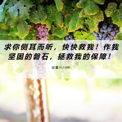 Picture 06 - 诗 篇 31:2 CUVS - 求 你 侧 耳 而 听 ， 快 快 救 我 ！ - Bible Verse Picture