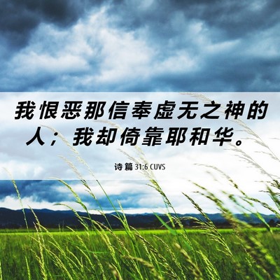 Picture 06 - 诗 篇 31:6 CUVS - 我 恨 恶 那 信 奉 虚 无 之 神 的 人 - Bible Verse Picture