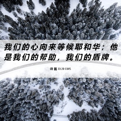 Picture 06 - 诗 篇 33:20 CUVS - 我 们 的 心 向 来 等 候 耶 和 华 ； - Bible Verse Picture