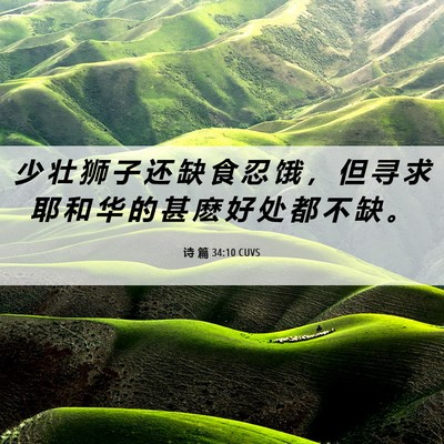 Picture 06 - 诗 篇 34:10 CUVS - 少 壮 狮 子 还 缺 食 忍 饿 ， 但 寻 - Bible Verse Picture
