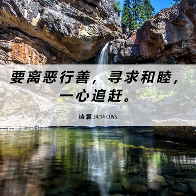 Picture 06 - 诗 篇 34:14 CUVS - 要 离 恶 行 善 ， 寻 求 和 睦 ， 一 - Bible Verse Picture