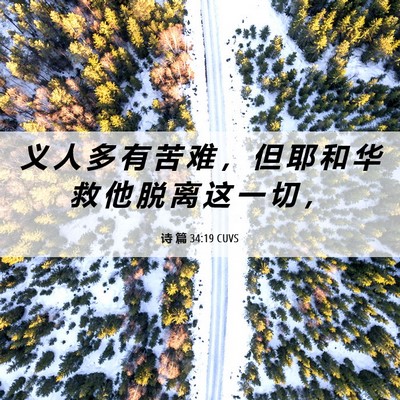Picture 06 - 诗 篇 34:19 CUVS - 义 人 多 有 苦 难 ， 但 耶 和 华 救 - Bible Verse Picture