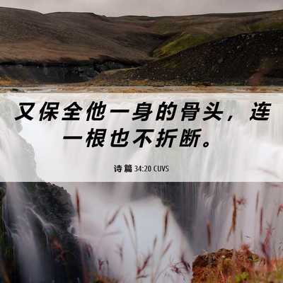 Picture 06 - 诗 篇 34:20 CUVS - 又 保 全 他 一 身 的 骨 头 ， 连 一 - Bible Verse Picture