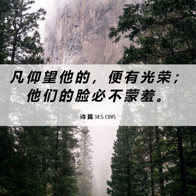 Picture 06 - 诗 篇 34:5 CUVS - 凡 仰 望 他 的 ， 便 有 光 荣 ； 他 - Bible Verse Picture