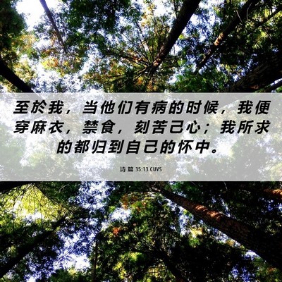 Picture 06 - 诗 篇 35:13 CUVS - 至 於 我 ， 当 他 们 有 病 的 时 候 - Bible Verse Picture