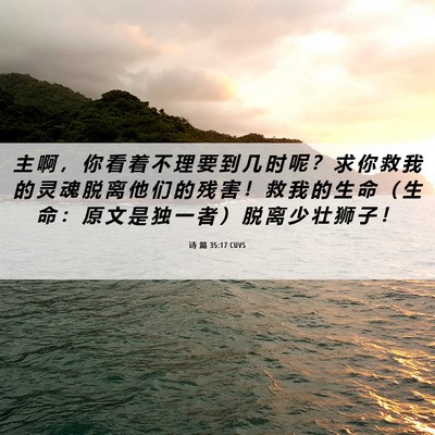 Picture 06 - 诗 篇 35:17 CUVS - 主 啊 ， 你 看 着 不 理 要 到 几 时 - Bible Verse Picture