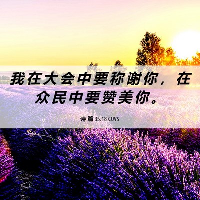 Picture 06 - 诗 篇 35:18 CUVS - 我 在 大 会 中 要 称 谢 你 ， 在 众 - Bible Verse Picture