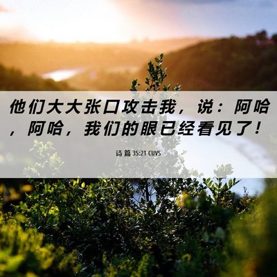 Picture 06 - 诗 篇 35:21 CUVS - 他 们 大 大 张 口 攻 击 我 ， 说 ： - Bible Verse Picture