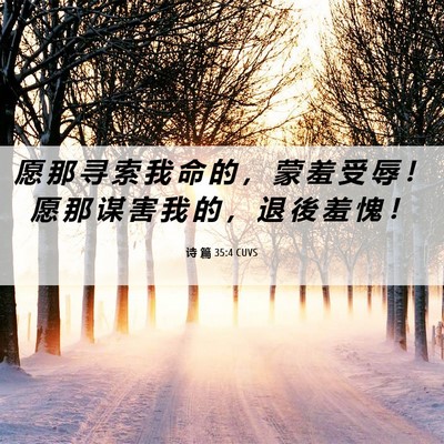 Picture 06 - 诗 篇 35:4 CUVS - 愿 那 寻 索 我 命 的 ， 蒙 羞 受 辱 - Bible Verse Picture