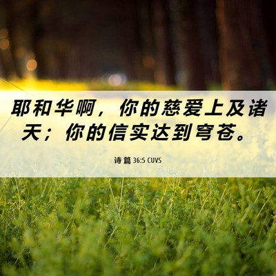 Picture 06 - 诗 篇 36:5 CUVS - 耶 和 华 啊 ， 你 的 慈 爱 上 及 诸 - Bible Verse Picture