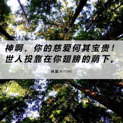 Picture 06 - 诗 篇 36:7 CUVS - 神 啊 ， 你 的 慈 爱 何 其 宝 贵 ！ - Bible Verse Picture