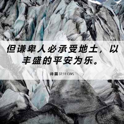 Picture 06 - 诗 篇 37:11 CUVS - 但 谦 卑 人 必 承 受 地 土 ， 以 丰 - Bible Verse Picture