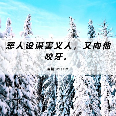 Picture 06 - 诗 篇 37:12 CUVS - 恶 人 设 谋 害 义 人 ， 又 向 他 咬 - Bible Verse Picture