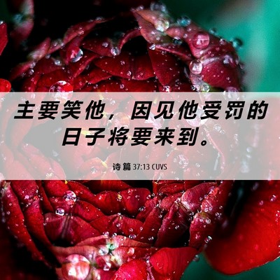Picture 06 - 诗 篇 37:13 CUVS - 主 要 笑 他 ， 因 见 他 受 罚 的 日 - Bible Verse Picture