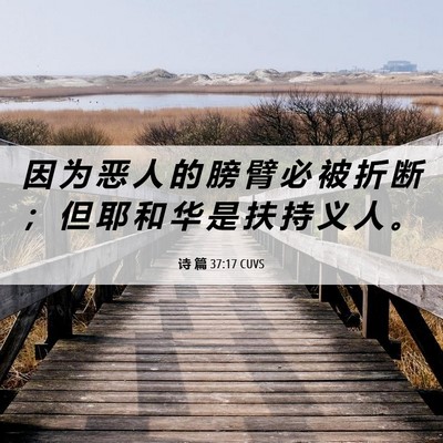 Picture 06 - 诗 篇 37:17 CUVS - 因 为 恶 人 的 膀 臂 必 被 折 断 ； - Bible Verse Picture