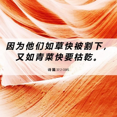 Picture 06 - 诗 篇 37:2 CUVS - 因 为 他 们 如 草 快 被 割 下 ， 又 - Bible Verse Picture
