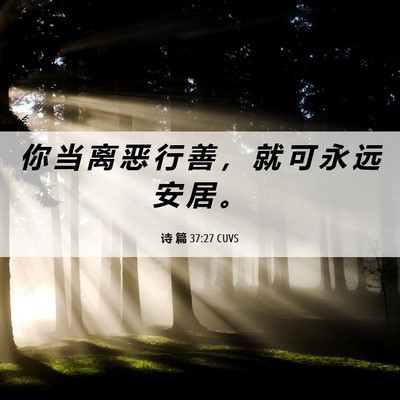 Picture 06 - 诗 篇 37:27 CUVS - 你 当 离 恶 行 善 ， 就 可 永 远 安 - Bible Verse Picture