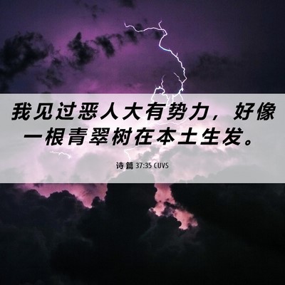 Picture 06 - 诗 篇 37:35 CUVS - 我 见 过 恶 人 大 有 势 力 ， 好 像 - Bible Verse Picture