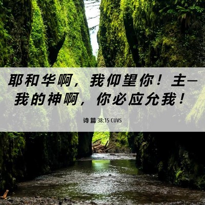 Picture 06 - 诗 篇 38:15 CUVS - 耶 和 华 啊 ， 我 仰 望 你 ！ 主 ─ - Bible Verse Picture