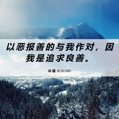 Picture 06 - 诗 篇 38:20 CUVS - 以 恶 报 善 的 与 我 作 对 ， 因 我 - Bible Verse Picture