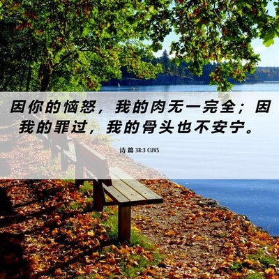 Picture 06 - 诗 篇 38:3 CUVS - 因 你 的 恼 怒 ， 我 的 肉 无 一 完 - Bible Verse Picture