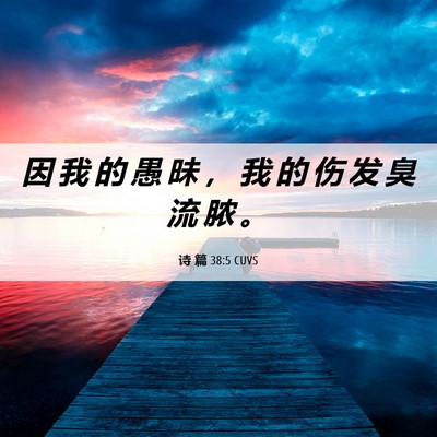 Picture 06 - 诗 篇 38:5 CUVS - 因 我 的 愚 昧 ， 我 的 伤 发 臭 流 - Bible Verse Picture