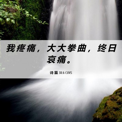 Picture 06 - 诗 篇 38:6 CUVS - 我 疼 痛 ， 大 大 拳 曲 ， 终 日 哀 - Bible Verse Picture
