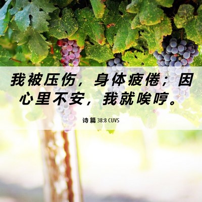 Picture 06 - 诗 篇 38:8 CUVS - 我 被 压 伤 ， 身 体 疲 倦 ； 因 心 - Bible Verse Picture