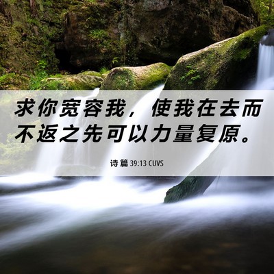 Picture 06 - 诗 篇 39:13 CUVS - 求 你 宽 容 我 ， 使 我 在 去 而 不 - Bible Verse Picture
