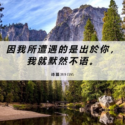 Picture 06 - 诗 篇 39:9 CUVS - 因 我 所 遭 遇 的 是 出 於 你 ， 我 - Bible Verse Picture