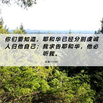 Picture 06 - 诗 篇 4:3 CUVS - 你 们 要 知 道 ， 耶 和 华 已 经 分 - Bible Verse Picture