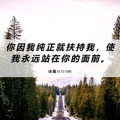 Picture 06 - 诗 篇 41:12 CUVS - 你 因 我 纯 正 就 扶 持 我 ， 使 我 - Bible Verse Picture