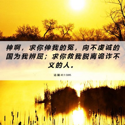 Picture 06 - 诗 篇 43:1 CUVS - 神 啊 ， 求 你 伸 我 的 冤 ， 向 不 - Bible Verse Picture
