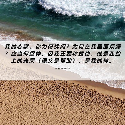 Picture 06 - 诗 篇 43:5 CUVS - 我 的 心 哪 ， 你 为 何 忧 闷 ？ 为 - Bible Verse Picture