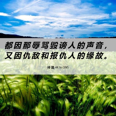Picture 06 - 诗 篇 44:16 CUVS - 都 因 那 辱 骂 毁 谤 人 的 声 音 ， - Bible Verse Picture