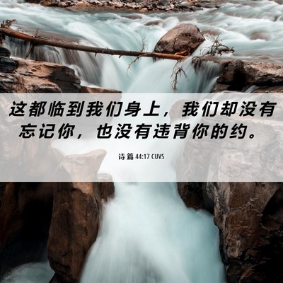 Picture 06 - 诗 篇 44:17 CUVS - 这 都 临 到 我 们 身 上 ， 我 们 却 - Bible Verse Picture