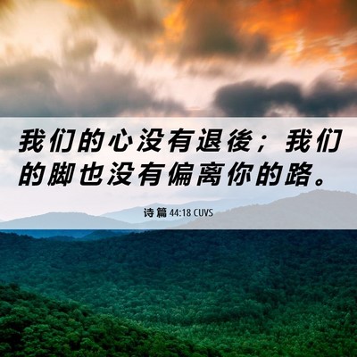 Picture 06 - 诗 篇 44:18 CUVS - 我 们 的 心 没 有 退 後 ； 我 们 的 - Bible Verse Picture