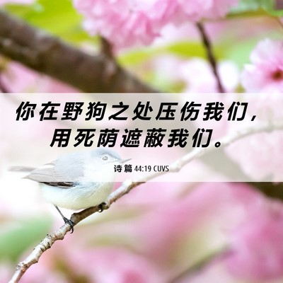 Picture 06 - 诗 篇 44:19 CUVS - 你 在 野 狗 之 处 压 伤 我 们 ， 用 - Bible Verse Picture