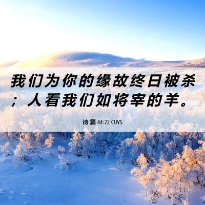 Picture 06 - 诗 篇 44:22 CUVS - 我 们 为 你 的 缘 故 终 日 被 杀 ； - Bible Verse Picture