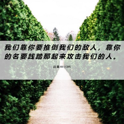 Picture 06 - 诗 篇 44:5 CUVS - 我 们 靠 你 要 推 倒 我 们 的 敌 人 - Bible Verse Picture