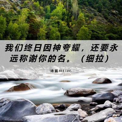 Picture 06 - 诗 篇 44:8 CUVS - 我 们 终 日 因 神 夸 耀 ， 还 要 永 - Bible Verse Picture