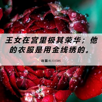 Picture 06 - 诗 篇 45:13 CUVS - 王 女 在 宫 里 极 其 荣 华 ； 他 的 - Bible Verse Picture