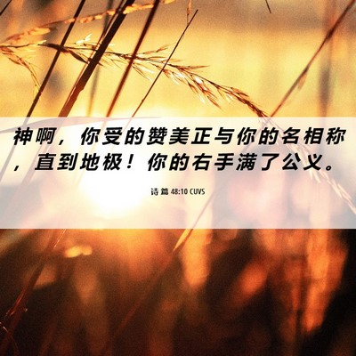Picture 06 - 诗 篇 48:10 CUVS - 神 啊 ， 你 受 的 赞 美 正 与 你 的 - Bible Verse Picture