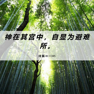 Picture 06 - 诗 篇 48:3 CUVS - 神 在 其 宫 中 ， 自 显 为 避 难 所 - Bible Verse Picture