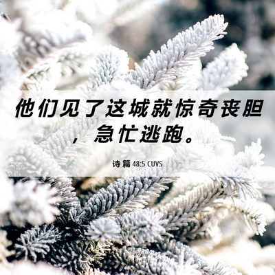 Picture 06 - 诗 篇 48:5 CUVS - 他 们 见 了 这 城 就 惊 奇 丧 胆 ， - Bible Verse Picture