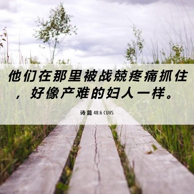 Picture 06 - 诗 篇 48:6 CUVS - 他 们 在 那 里 被 战 兢 疼 痛 抓 住 - Bible Verse Picture